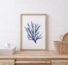 Codium Algae Blue Coastal Coral Watercolour Art Prints