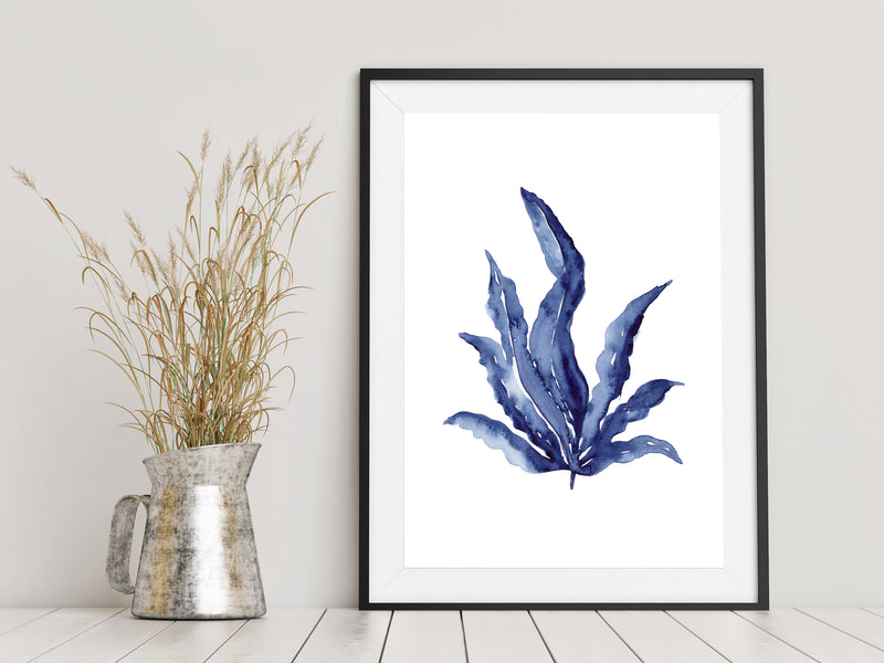 Laminaria Marine Coral Ocean and Beach Art Prints