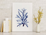 Staghorn Coral Blue Nautical Watercolour Prints