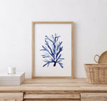 Staghorn Coral Blue Nautical Watercolour Prints