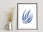 Kelp Blue Coral Underwater Sea Art Prints