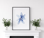 Umbrella Plant Wall Art Print