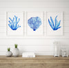 Hamptons Prints Watercolour Coral Set of 3 Blue Wall Decor