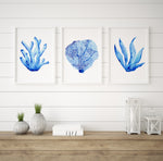 Hamptons Prints Watercolour Coral Set of 3 Blue Wall Decor