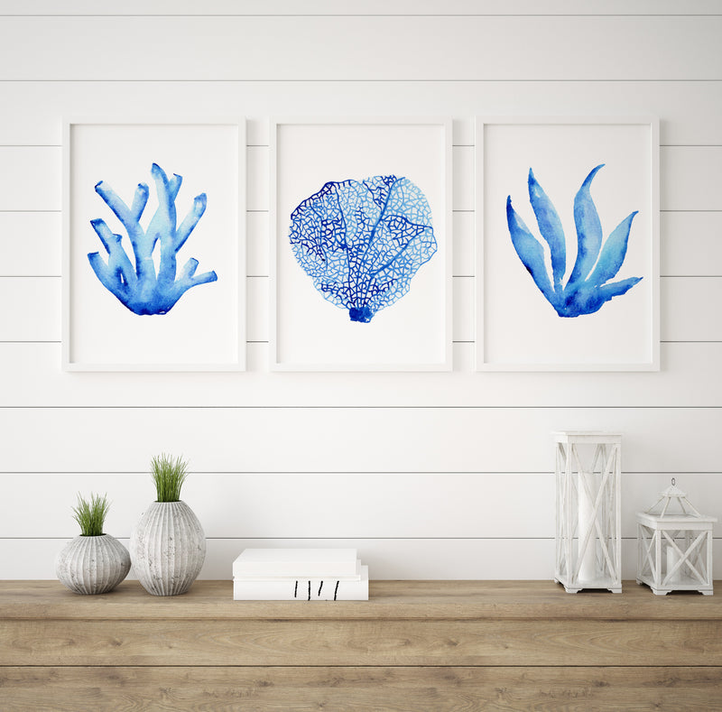 Hamptons Prints Watercolour Coral Set of 3 Blue Wall Decor