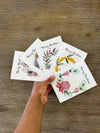 Australian Floral Christmas Cards Pack 4x6" With Envelope