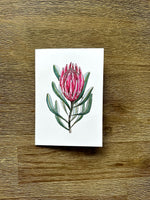 Australian Floral Native Cards Pack 4x6" With Envelope