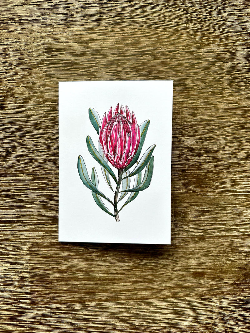 Australian Floral Native Cards Pack 4x6" With Envelope