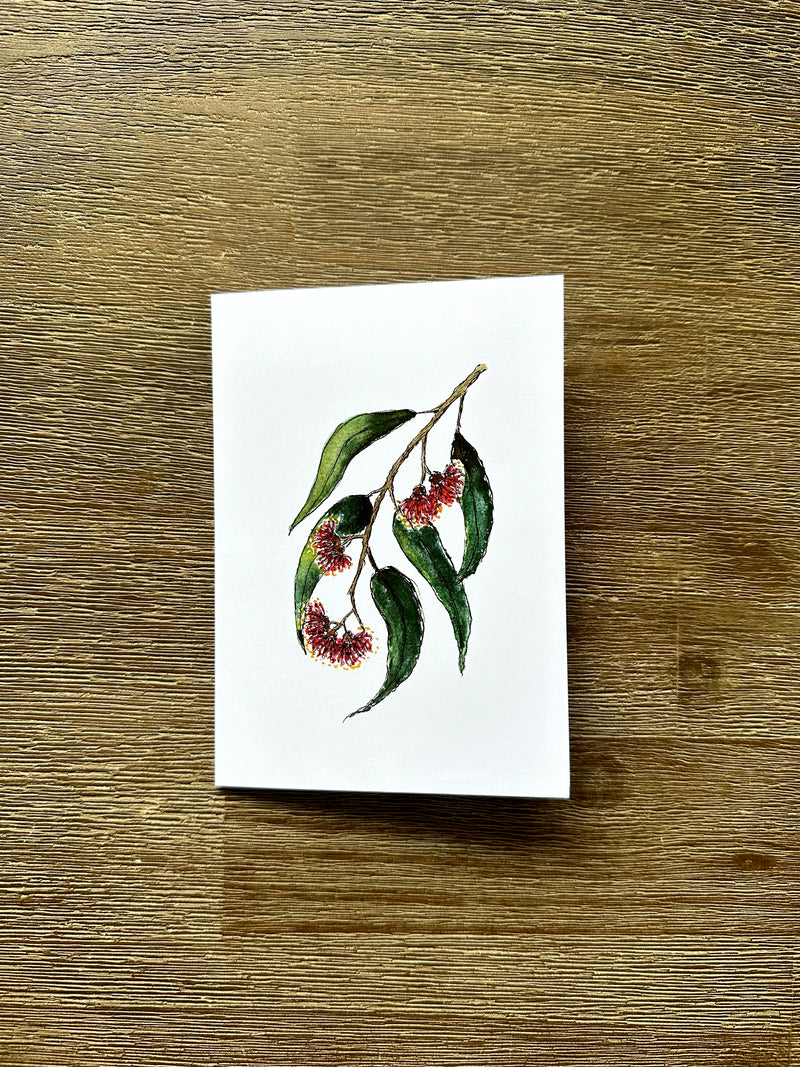 Australian Floral Native Cards Pack 4x6" With Envelope