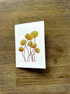 Australian Floral Native Cards Pack 4x6" With Envelope