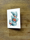 Australian Floral Native Cards Pack 4x6" With Envelope