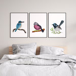 Kingfisher + Pink Robin + Superb Fairywren Fauna Watercolour Prints and Canvasses Interior Home Decoration