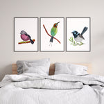 Pink Robin + Bee Eater + Superb Fairywren Set of 3 Australian Native Bird Watercolour Art Prints and Canvasses