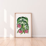 Lilly Pilly  Wall Art Print