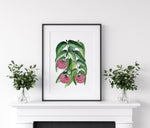 Lilly Pilly  Wall Art Print