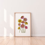 Everlasting Paper Daisy Wall Art Print