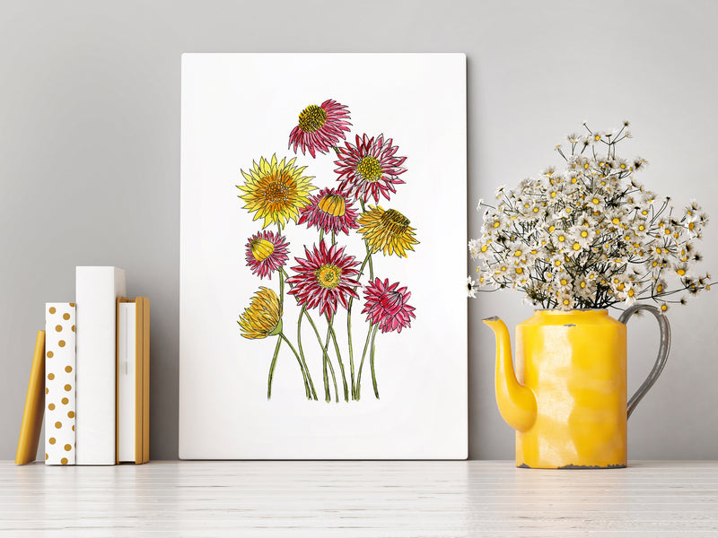 Everlasting Paper Daisy Wall Art Print