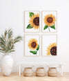 Set of 4 Sunflower Art Prints