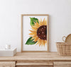 Sunflower Wall Print Watercolour