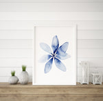 Umbrella Plant Wall Art Print