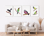 Willy Wagtail + Bee Eater + Pink Robin + Gouldian Finches Set of 4 Australian Native Fauna, For Nature Theme Homes