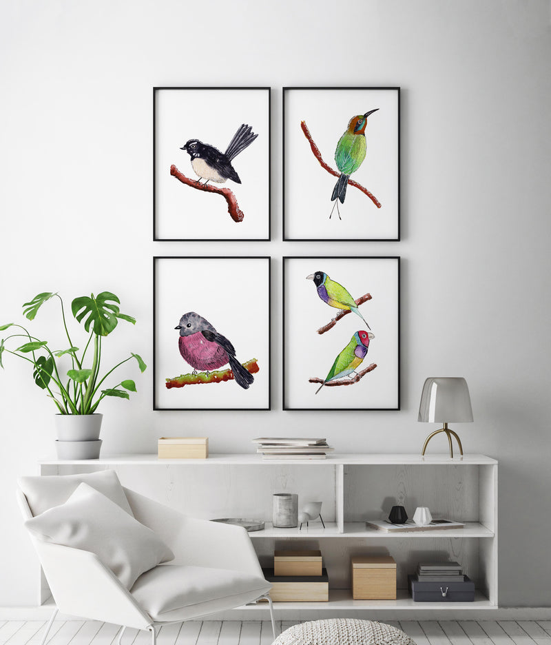 Willy Wagtail + Bee Eater + Pink Robin + Gouldian Finches Set of 4 Australian Native Fauna, For Nature Theme Homes