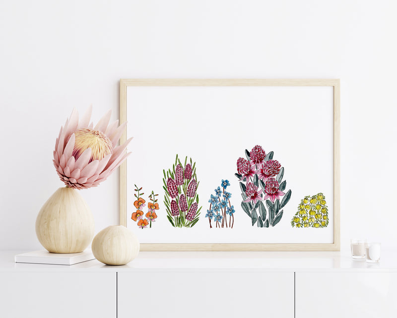 Australian Garden Floral Watercolour Art Print Flame Pea + Hakea + Bluebells + Waratah + Boronia