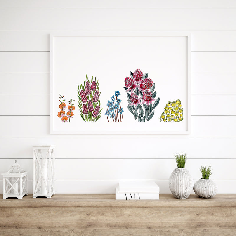 Australian Garden Floral Watercolour Art Print Flame Pea + Hakea + Bluebells + Waratah + Boronia