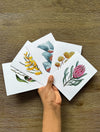 Australian Floral Native Cards Pack 4x6" With Envelope