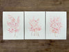 Original Pink Watercolour Paintings Set of 3 Baby's Breath 9 x 12 in