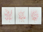 Original Pink Watercolour Paintings Set of 3 Baby's Breath 9 x 12 in