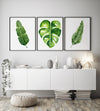 Banana Monstera Palm Leaf Prints and Canvasses Green Watercolour Wall Art Set of 3