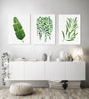 Botanical Wall Art Green Leaf Art Decor Set of 3 Watercolour Prints and Canvasses