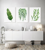 Botanical Wall Art Green Leaf Art Decor Set of 3 Watercolour Prints and Canvasses