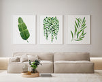 Botanical Wall Art Green Leaf Art Decor Set of 3 Watercolour Prints and Canvasses