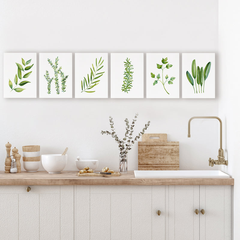 Set of 6 Herbs and Leaf Watercolour Canvasses and Prints Collection