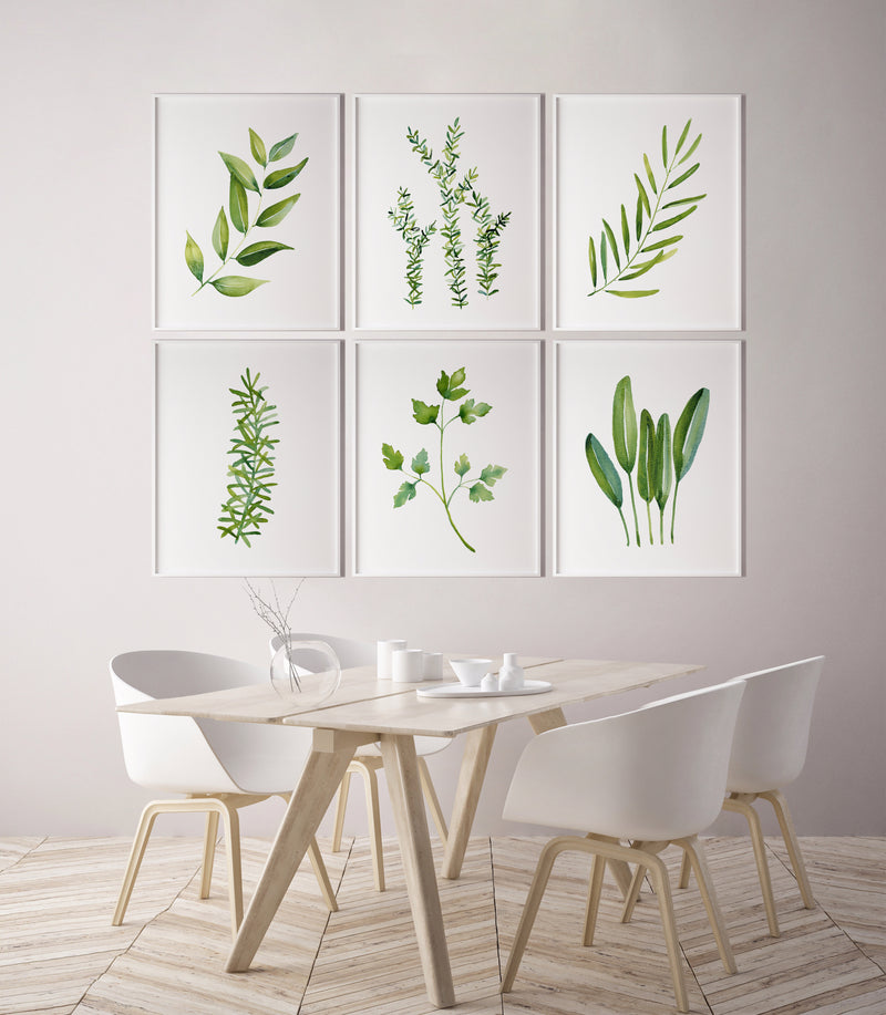 Set of 6 Herbs and Leaf Watercolour Canvasses and Prints Collection