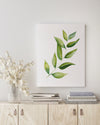 Bay Leaf Green Herb Kitchen Canvas and Print