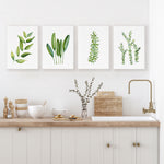 Green Kitchen Decor 4 Set Watercolour Herb and Leaf Canvasses and Prints