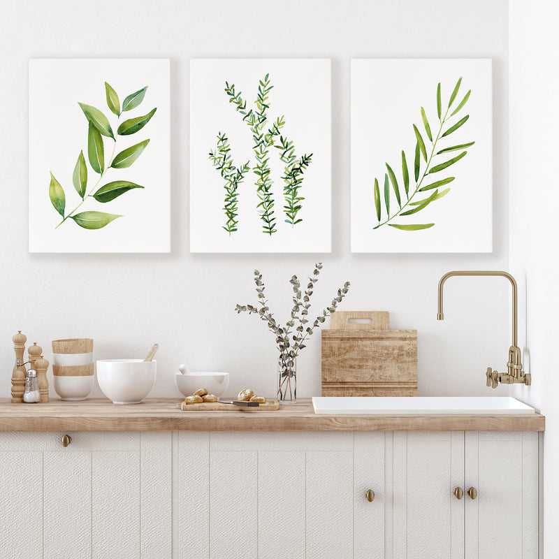 Green Herbs Set of 3 Canvasses and Prints Bay Leaf + Thyme + Olive