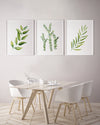 Green Herbs Set of 3 Canvasses and Prints Bay Leaf + Thyme + Olive