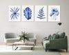 4 Set Hamptons Canvasses and Prints Birds Nest + Oak + Silver Fern + Homalomena