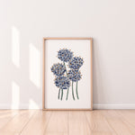 Native Australian Floral Art Print - Blue Pincushion