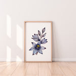 Orchid Art Print Native Australian Blue Sun Orchid Wall Decor