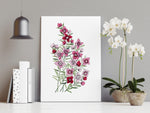 Boronia Print Australian Native Floral Art