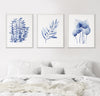 3 Blue Set Print Watercolour Boston Fern + Olive + Homalomena Wall Art Canvasses and Prints