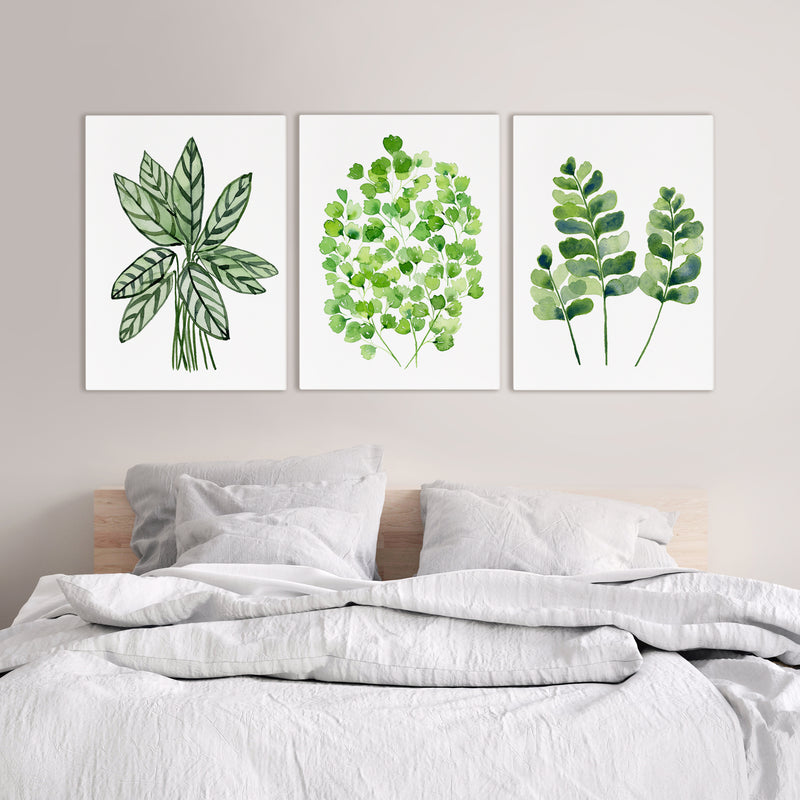 Green Leaf Prints and Canvasses Watercolour Plant Artwork Lounge Room Decor