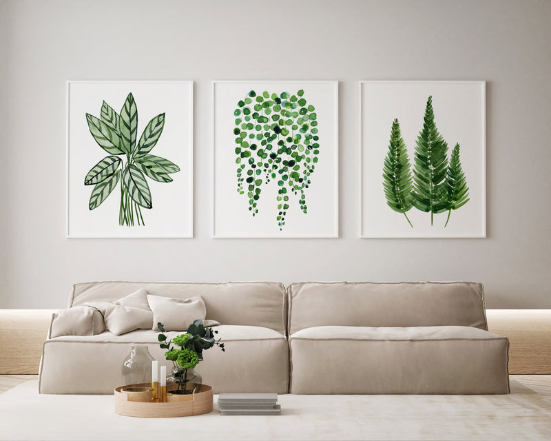 Plant Art Prints and Canvasses Set of 3 Green Watercolour Artworks Ctenanthe String of Pearls Fern