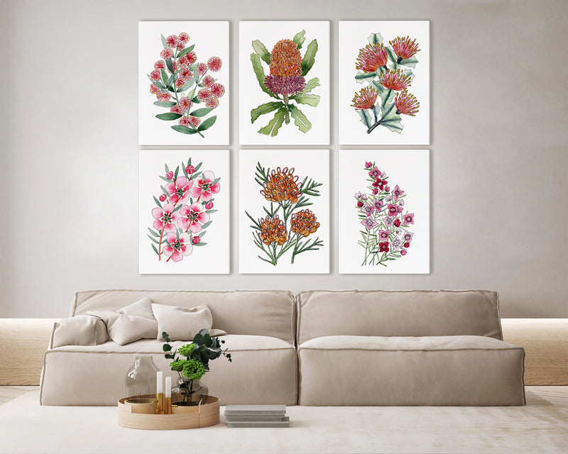 Cupid's Wattle + Orange Banksia + Matchstick Banksia + Tea Tree + Grevillea Winpara Gold + Boronia 6 Set of Canvasses and Prints