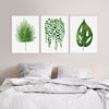 Set of 3 Leaf Prints Green Watercolour Art Prints and Canvasses Palm String of Pearls Monstera